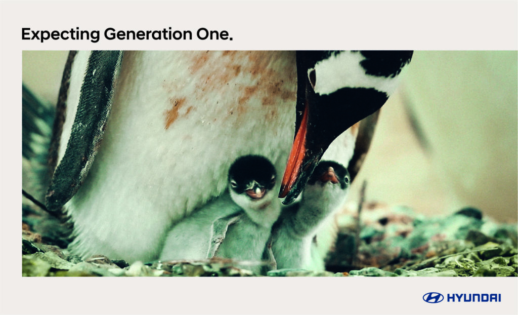 Expecting Generation One