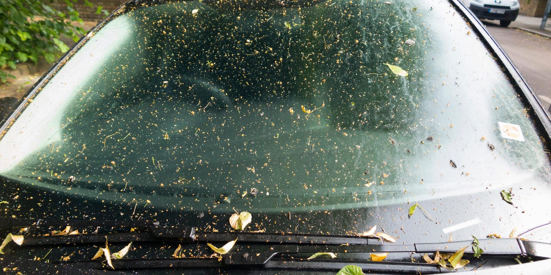 P3XEP7 A motor car with tree sap all over its bonnet, windscreen &amp; top, rendering it very sticky, dirty, &amp; in need of a clean before it would be safe to drive. (99)