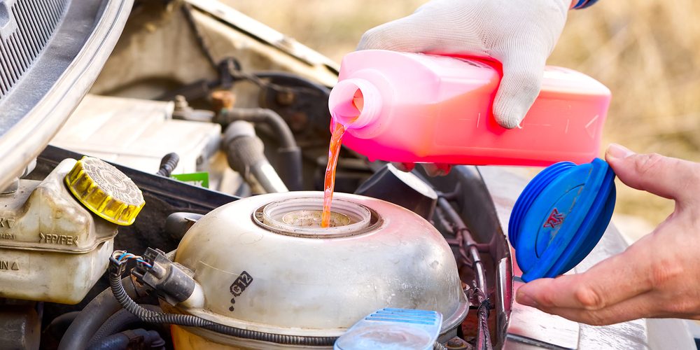 Pouring coolant service of cars. pouring antifreeze. mechanic fills the coolant g12 to tank in the engine Is Red Coolant Better Than Green? Key Differences & Best Uses Explained