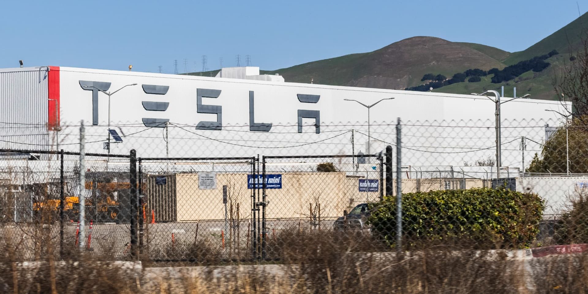 Tesla targets Australian company in lawsuit over battery technology – report