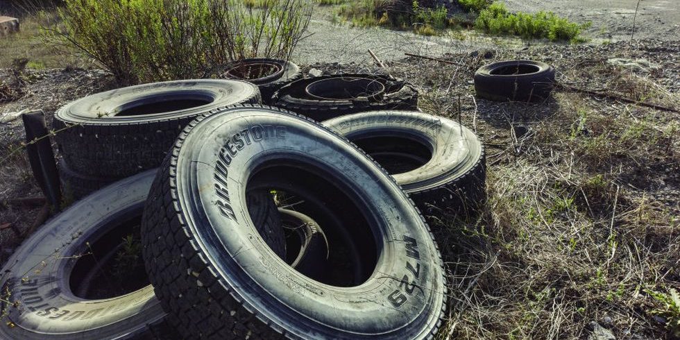 Indigenous Tribes Petition EPA over Hazardous Tire Chemicals