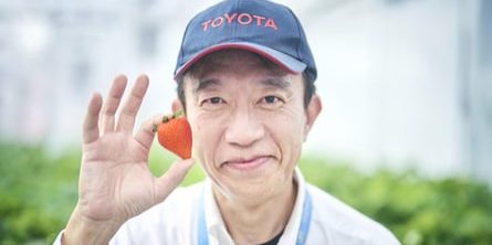 Toyota Goes Green By Growing Strawberries, Cherry Tomatoes At Factories