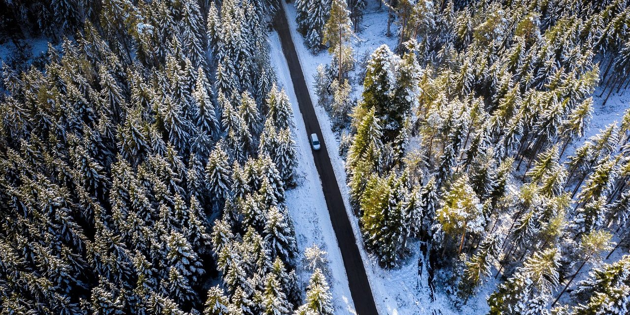 Image courtesy Pixabay